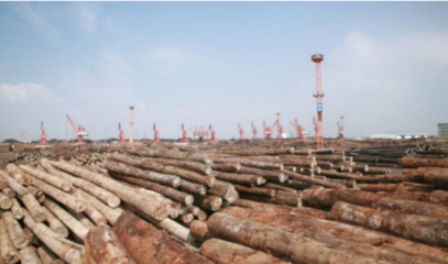 我國木材交易市場的形成與發(fā)展歷程